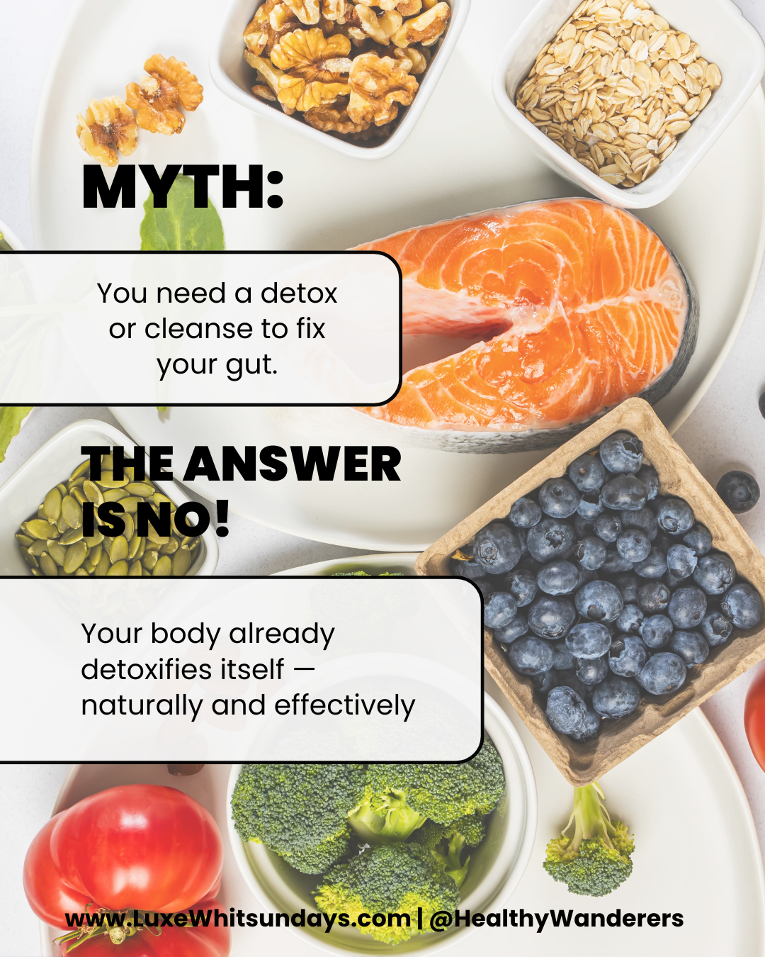 Debunking Gut Health Myths: What the Science Actually Says