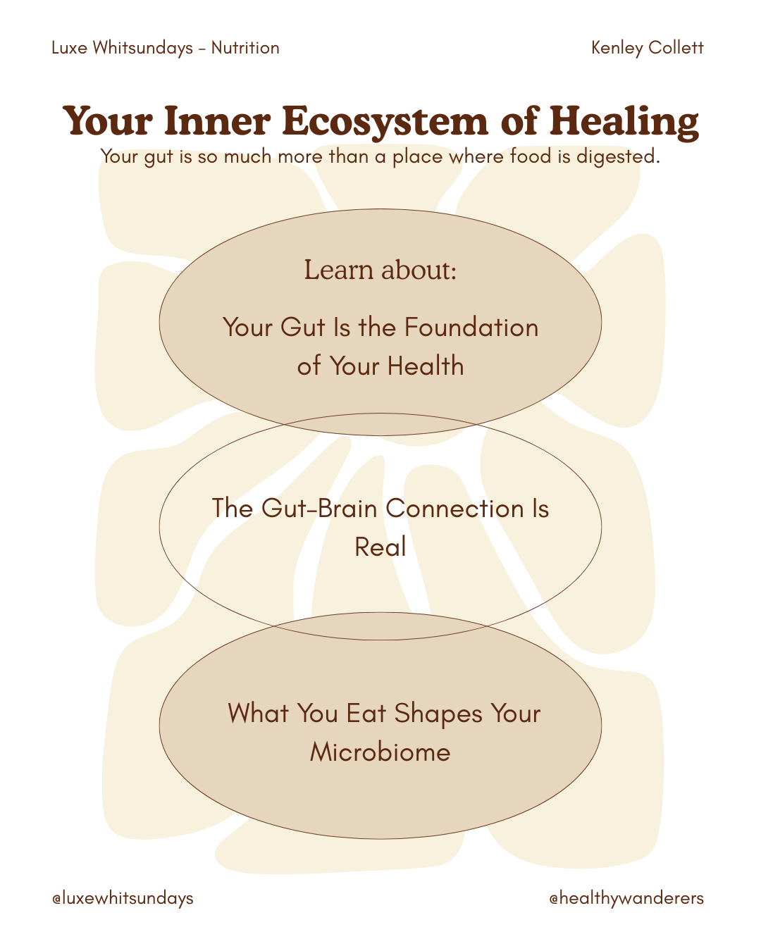 Let’s Talk Gut Health — Your Inner Ecosystem of Healing