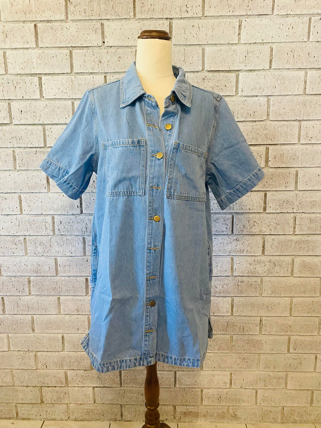 Petrea Denim Dress