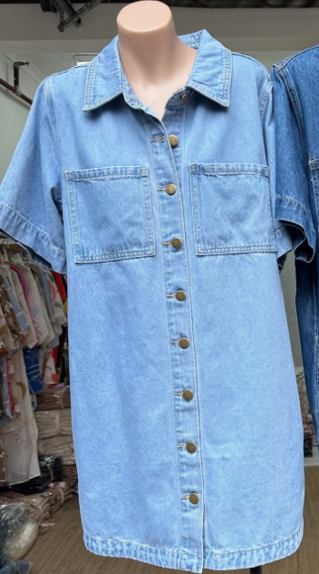 Petrea Denim Dress